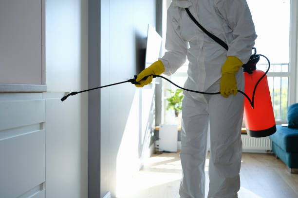 Best Mold Cleaning Services  in Blythe, CA