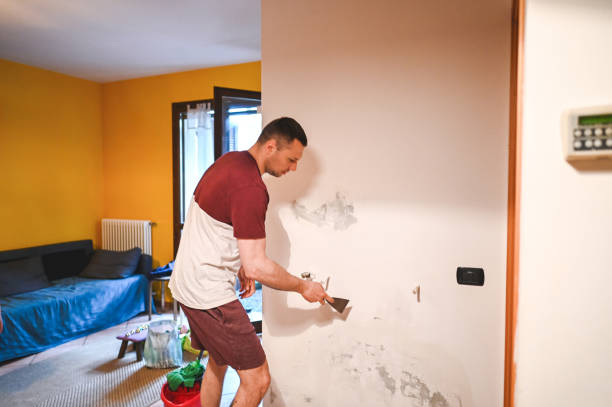 Best Mold Testing and Removal  in Blythe, CA