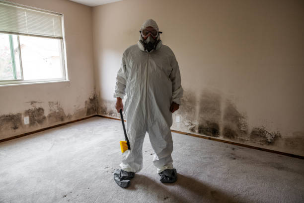 Best Attic Mold Removal  in Blythe, CA